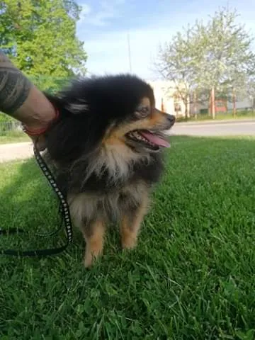 received_308371577352152.jpeg