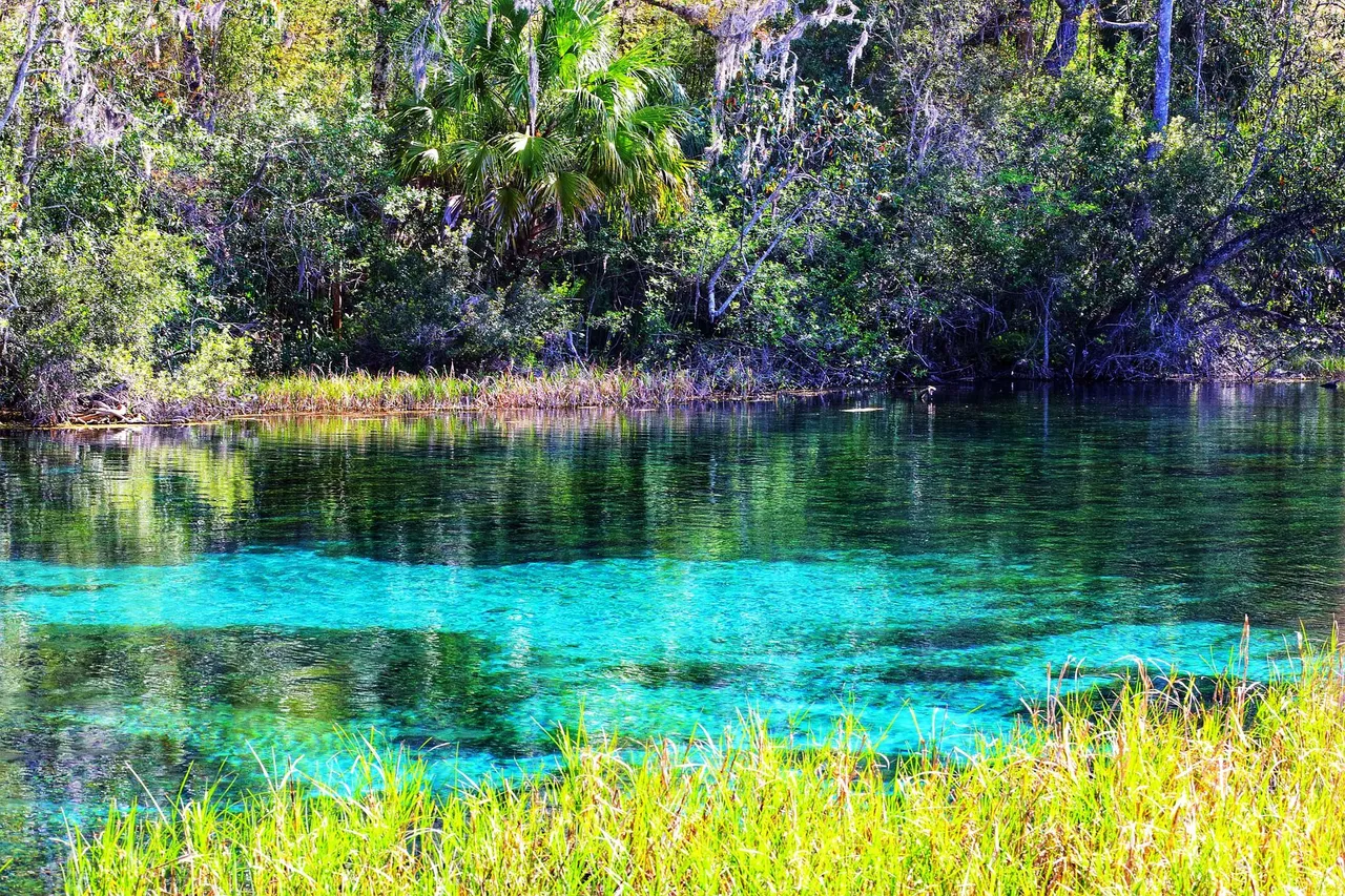 spring-water-5100464_1920.jpg