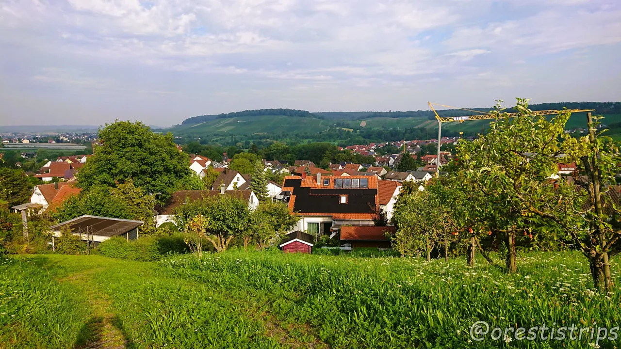 DSC_0023.JPG