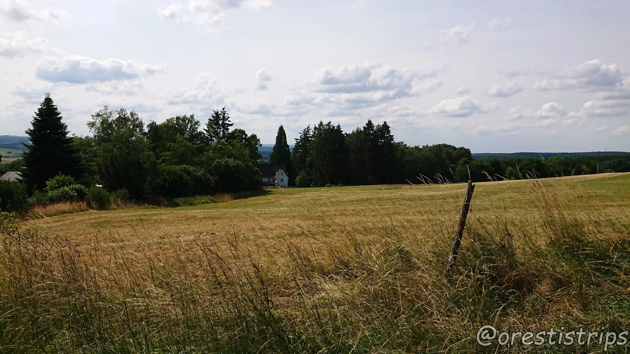 DSC_0016.JPG