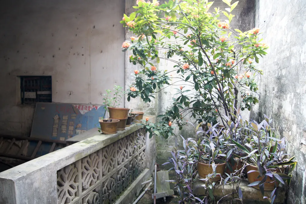 Around Yulin