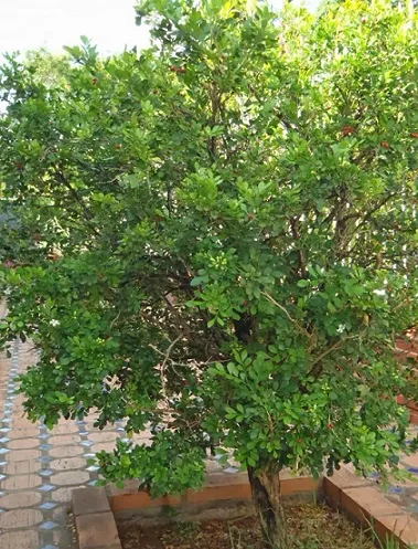 P9211230.jpg