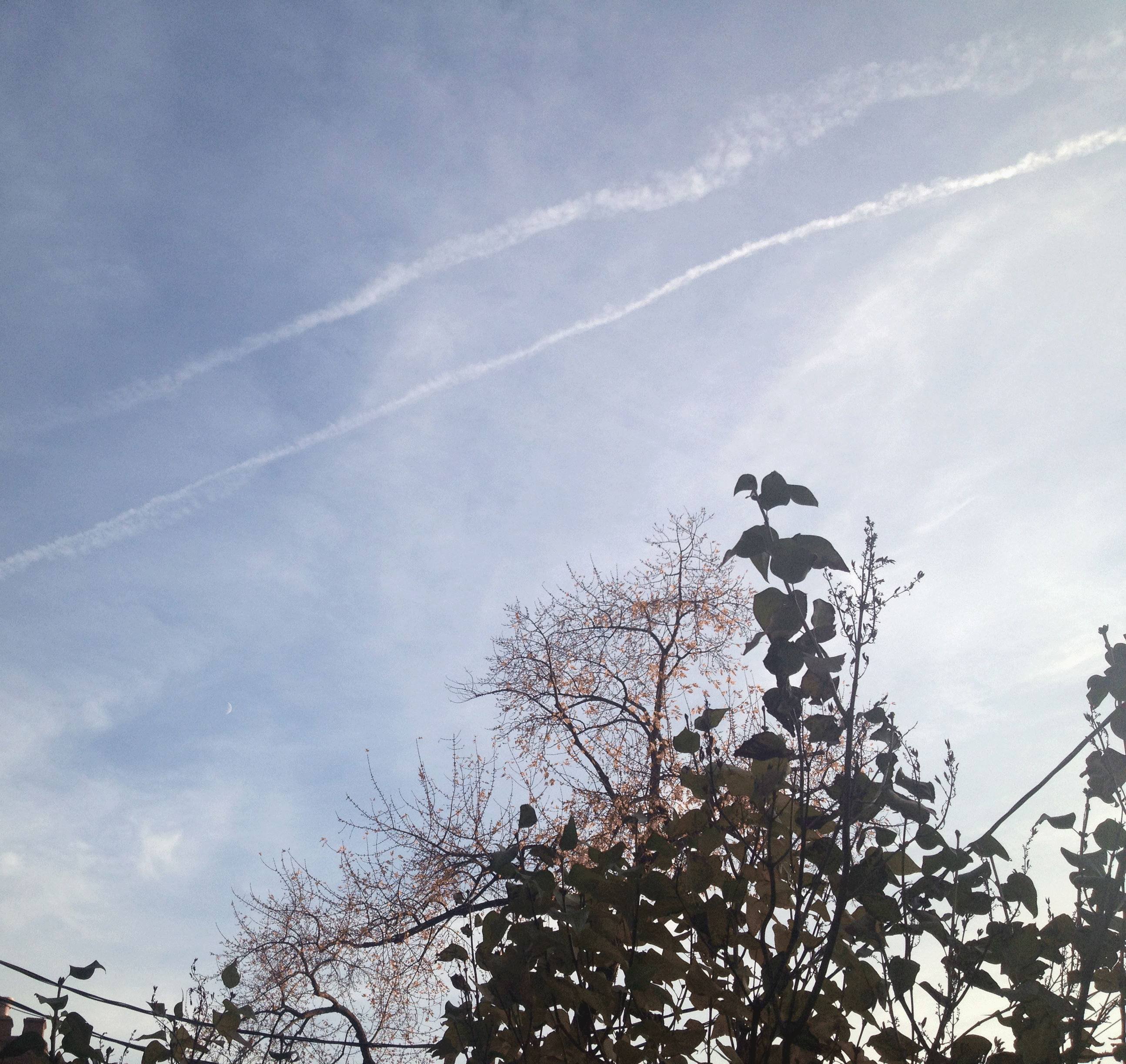 IMG_5958.gif