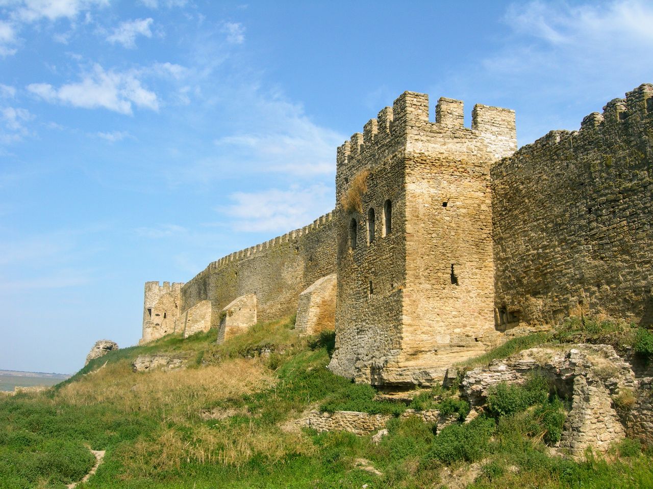 DSCN5834.jpg