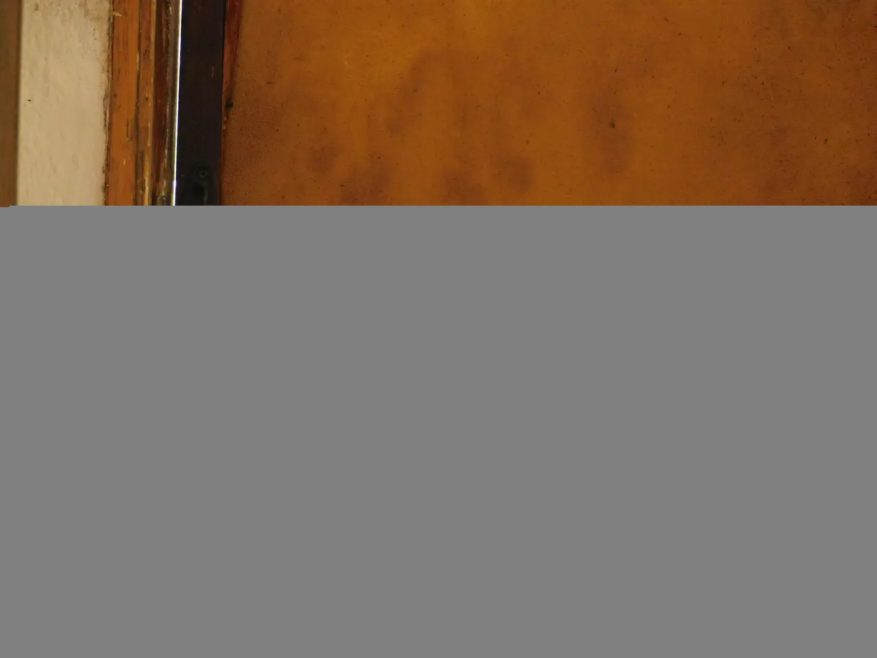 DSCN1385.JPG