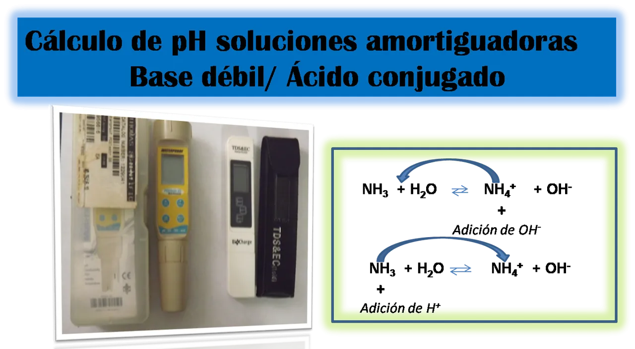 Imagen21.png