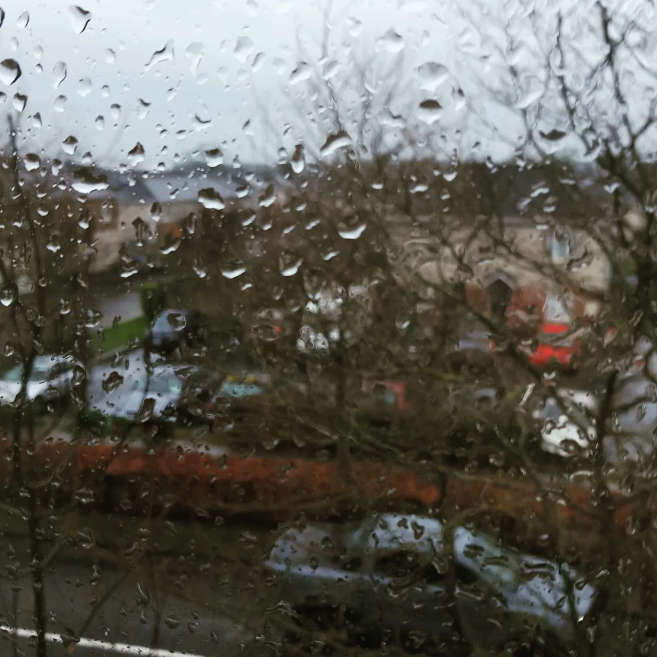rainyday.jpg