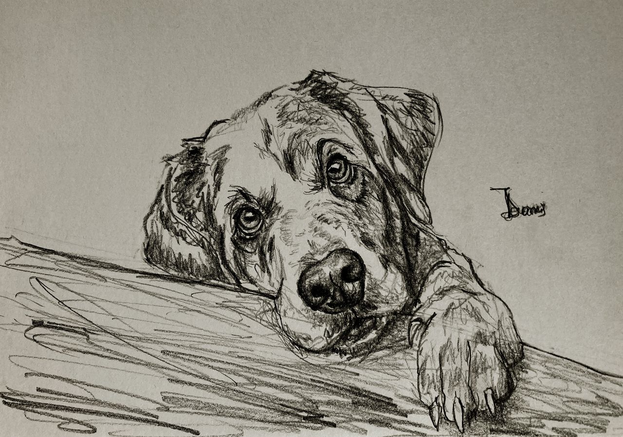 Man’s Best Friend