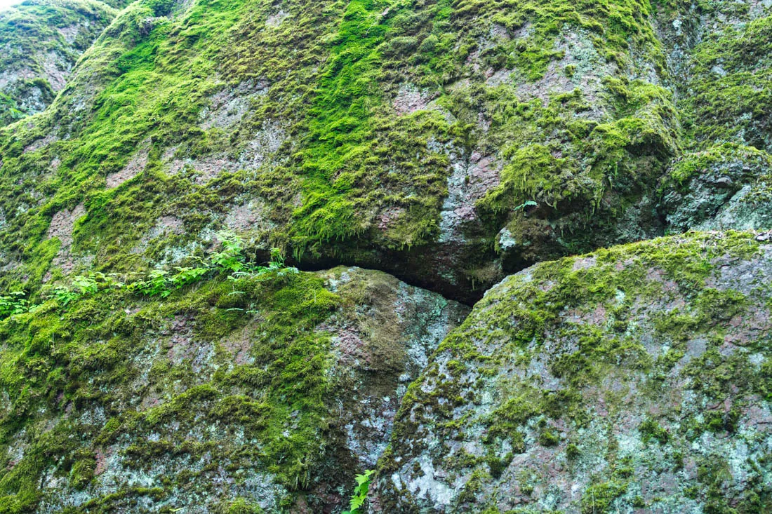DSC08550.jpg