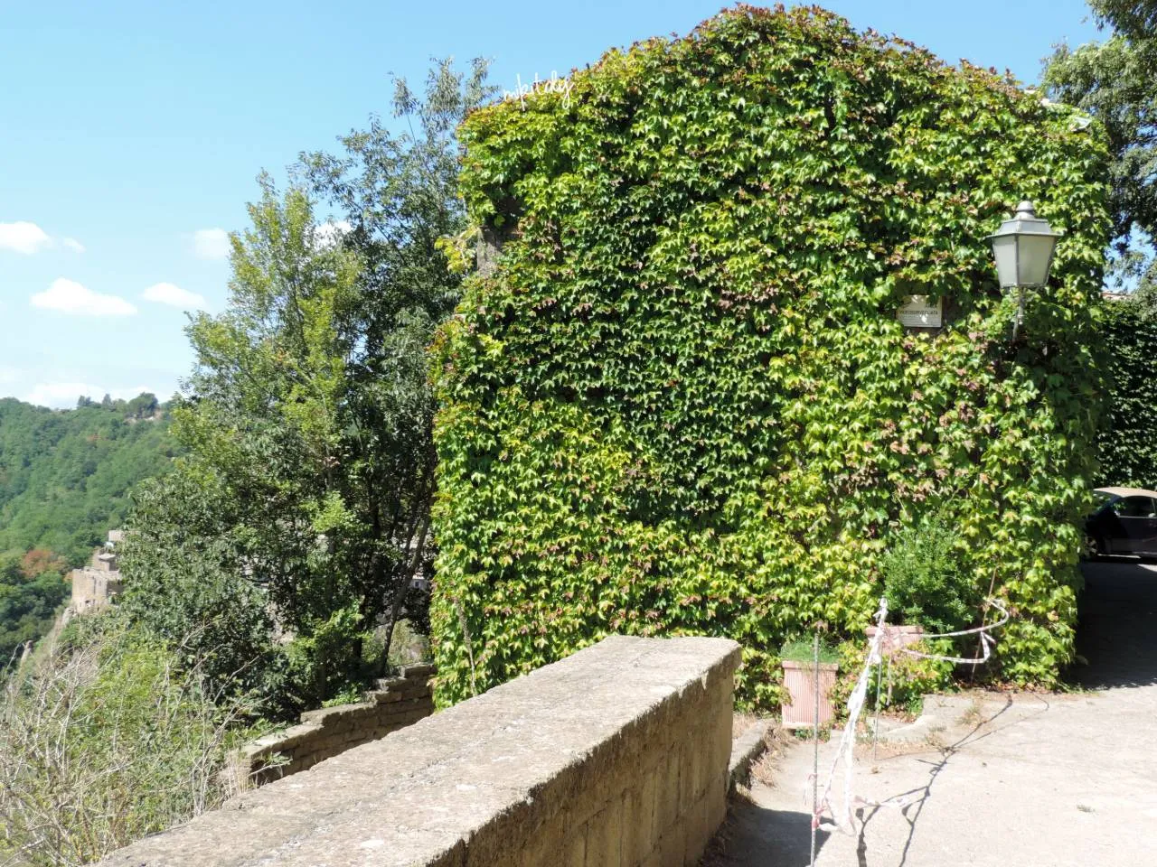 DSCN2695.jpg