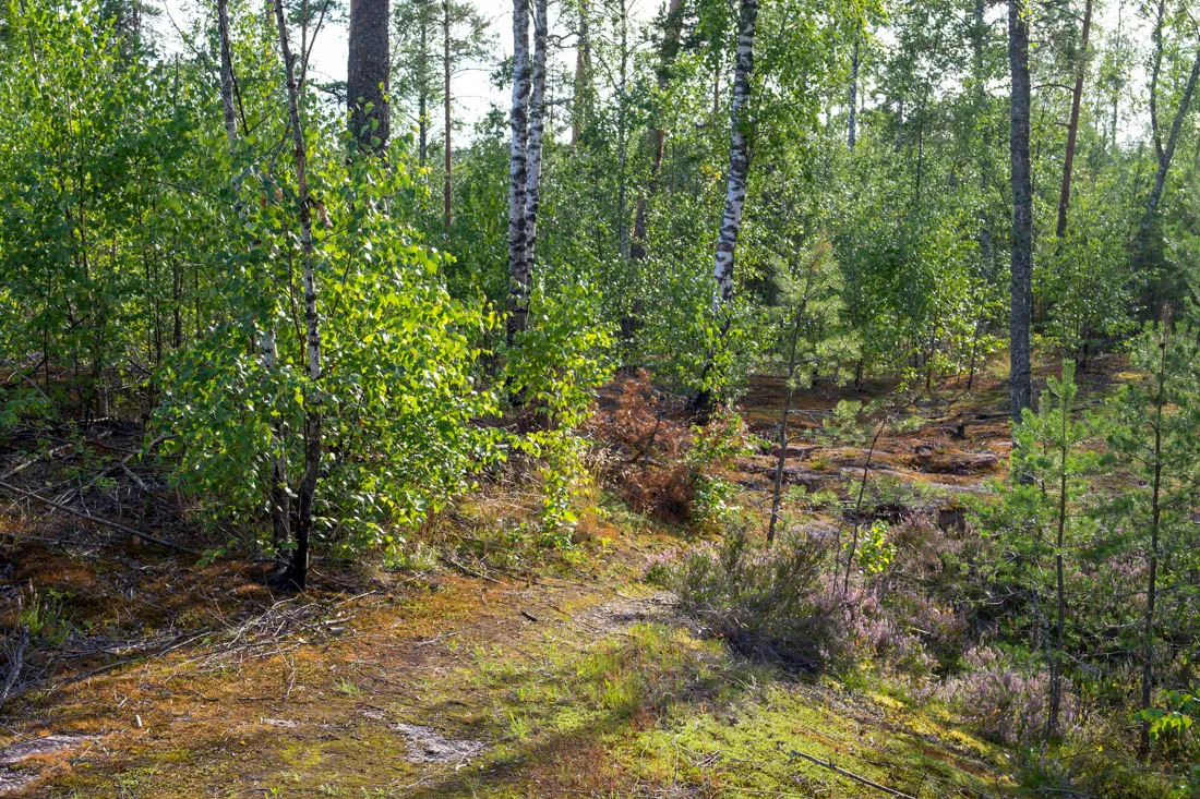 DSC08573.jpg