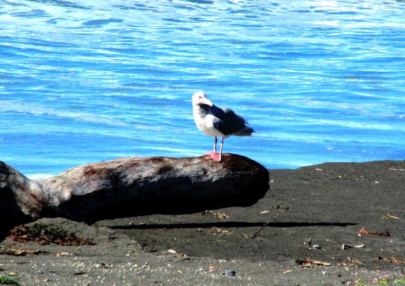 IMG_0006.jpg