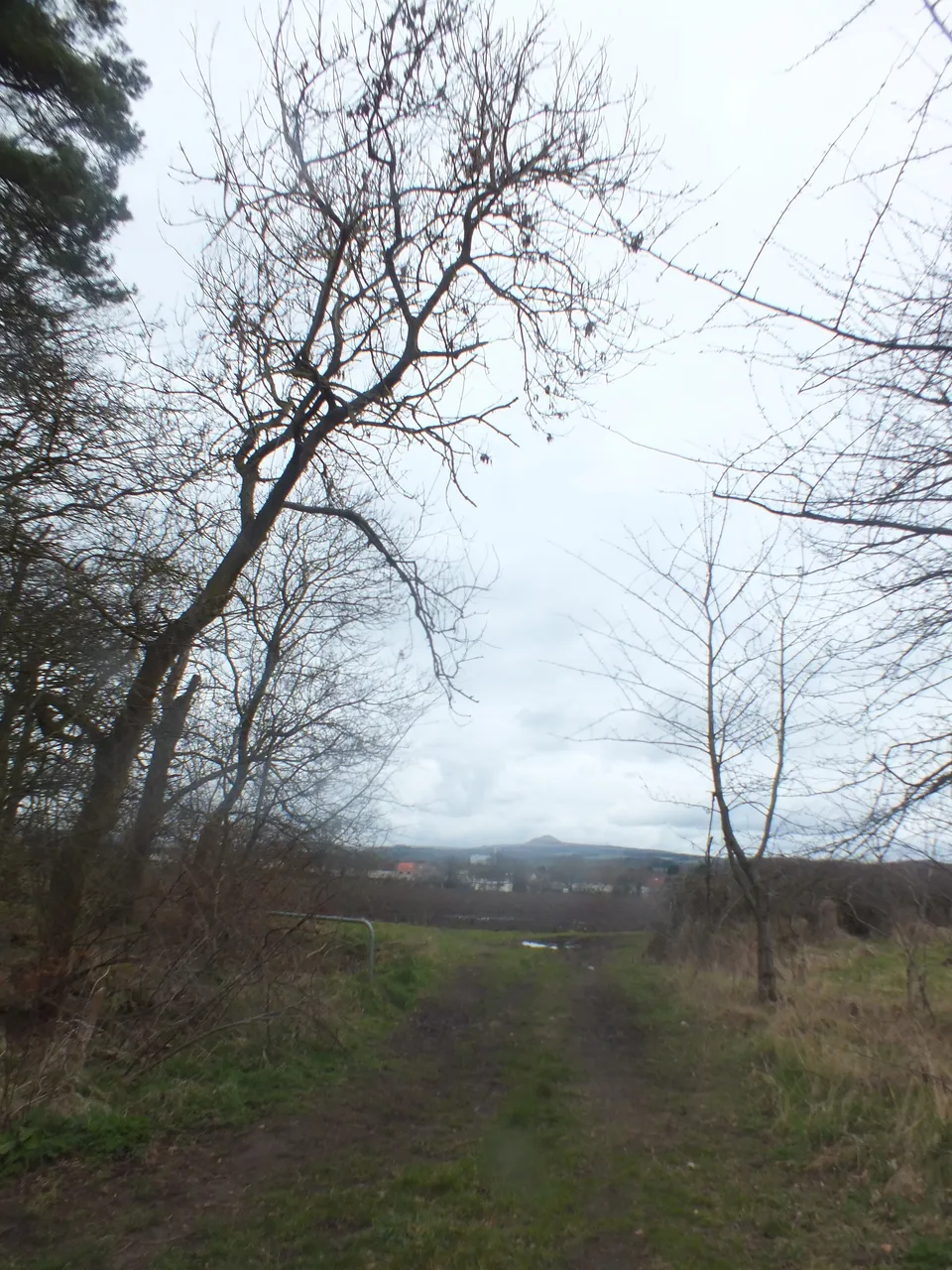 DSCF0359.JPG
