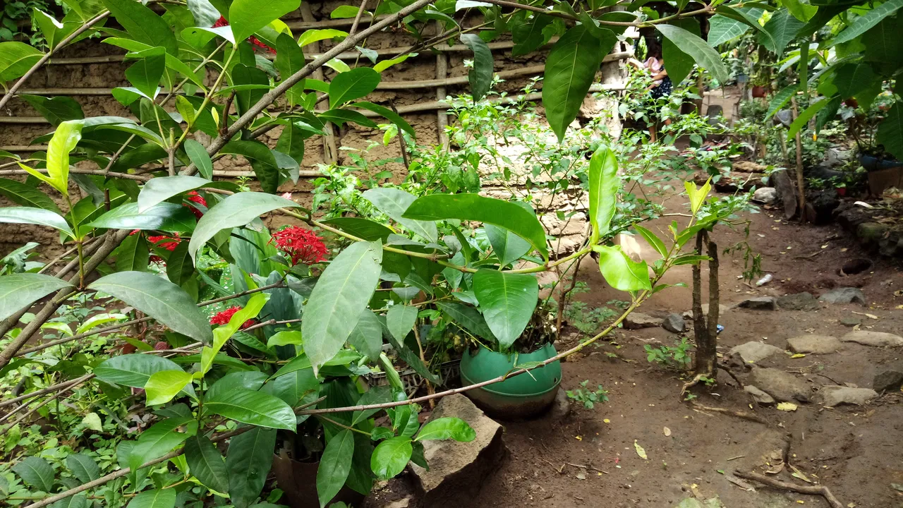 IMAG7596.jpg