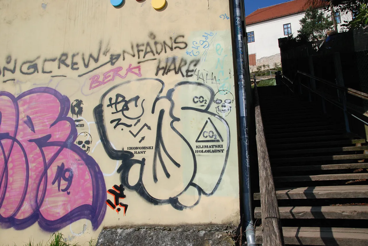 DSC_4110.JPG