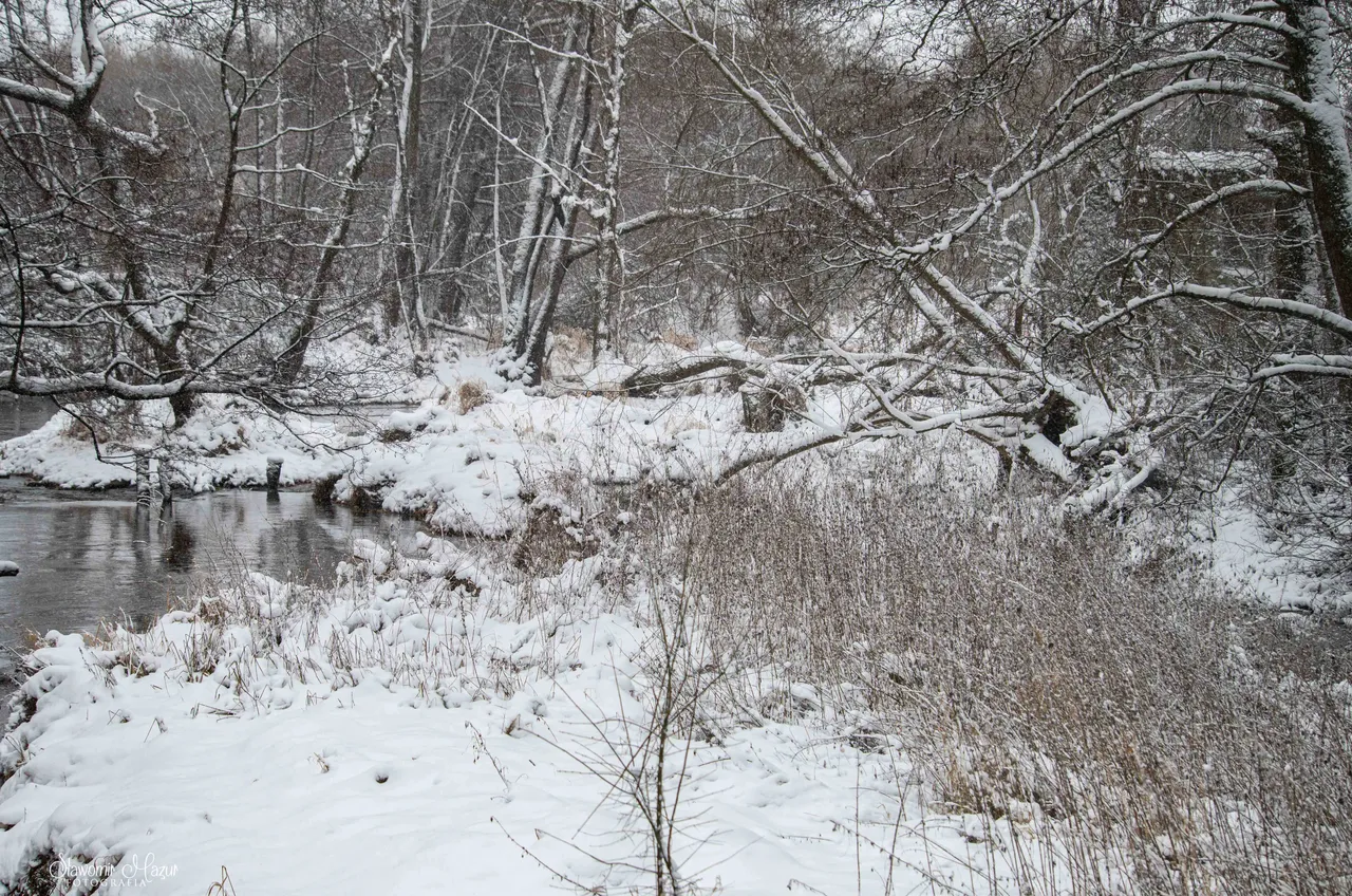 DSC_0322.jpg