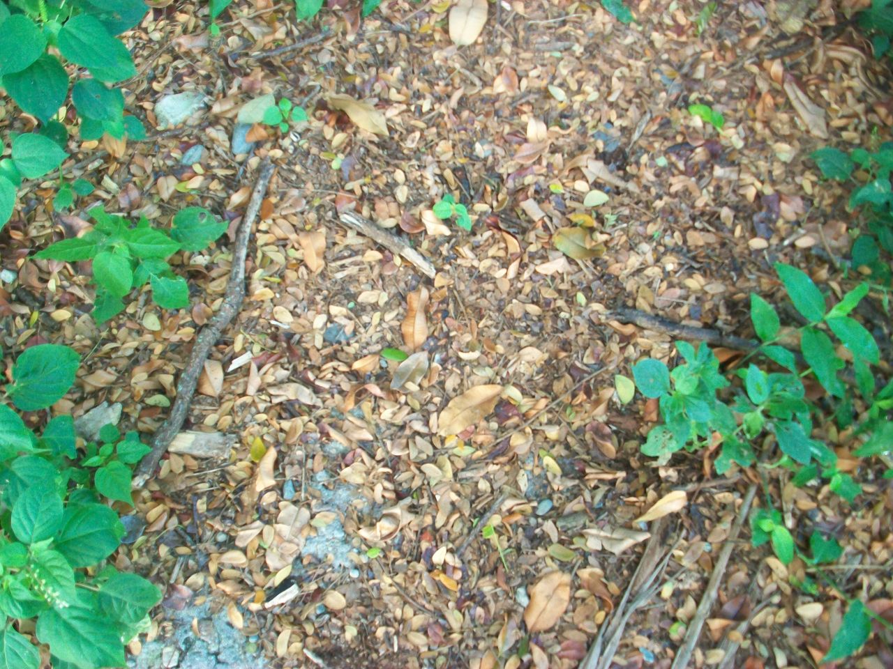 100_7296.JPG