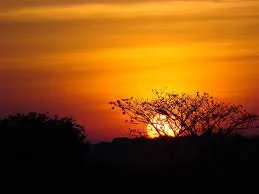 amanecer.jpg