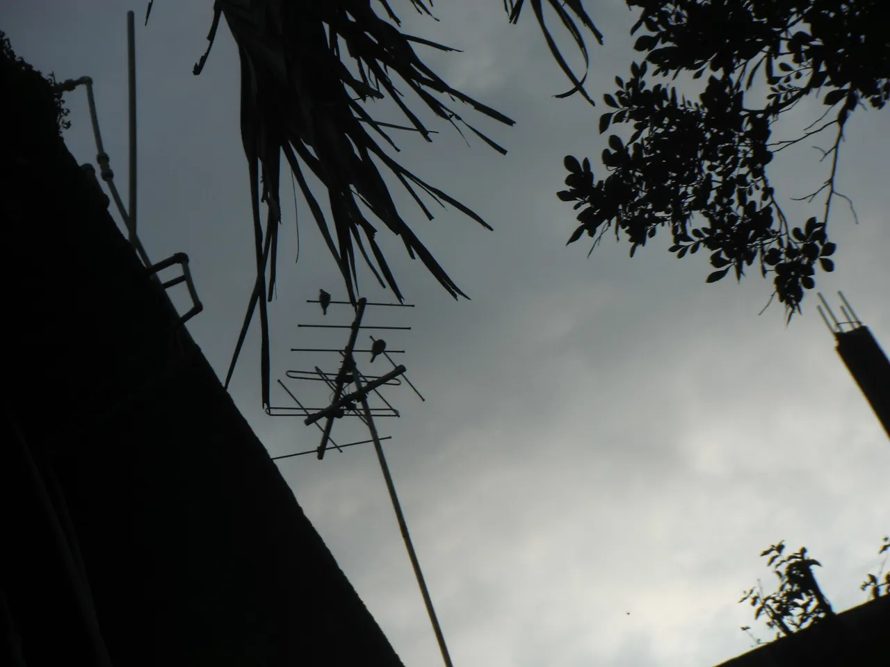 DSCF2728.JPG