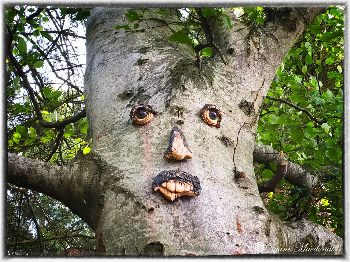 One of the ENTS