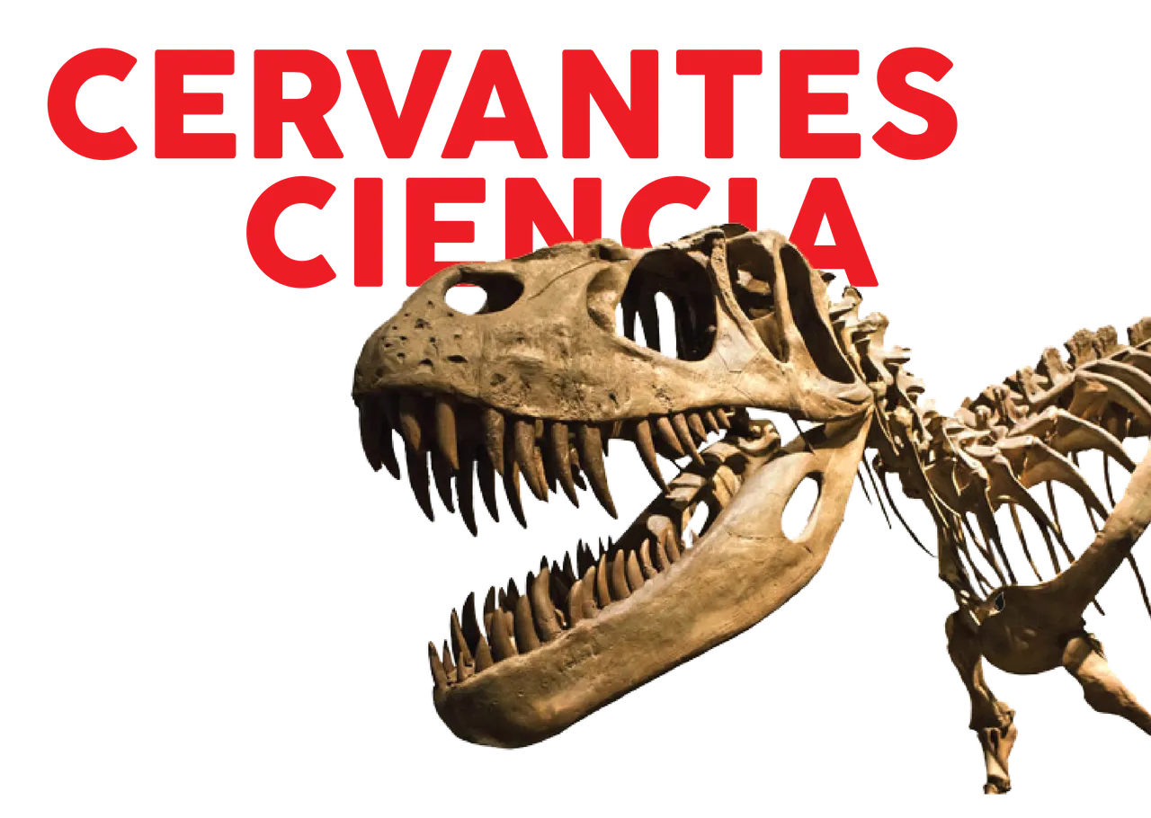 dino-02.png