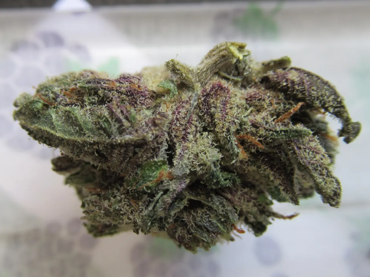 fullnugsidesy3.jpg