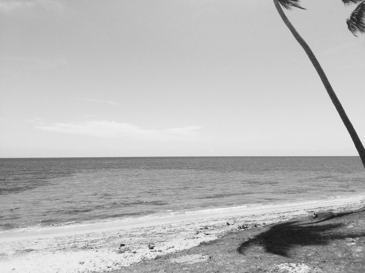 Poema: La ola/Poem: The Wave(ESP-ENG)