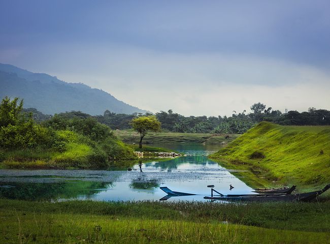 nature-3673387__480.jpg