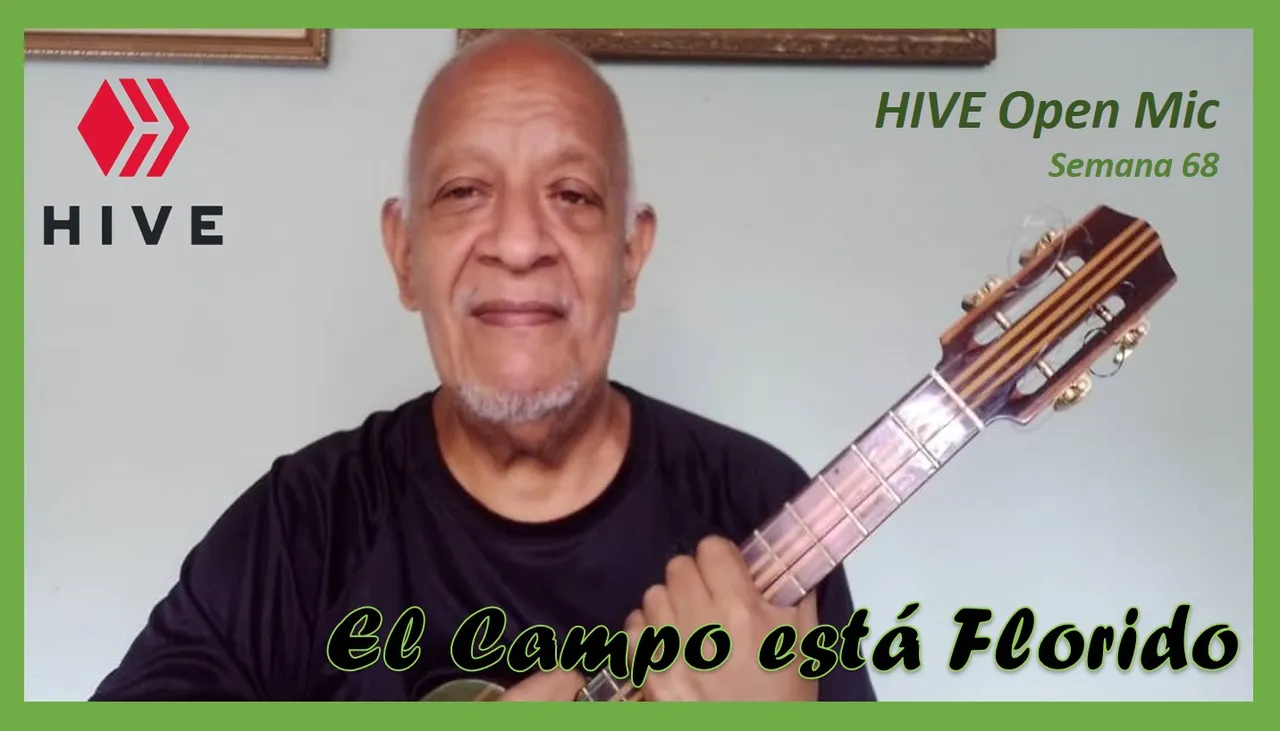 Portada Armandolnrs.jpg