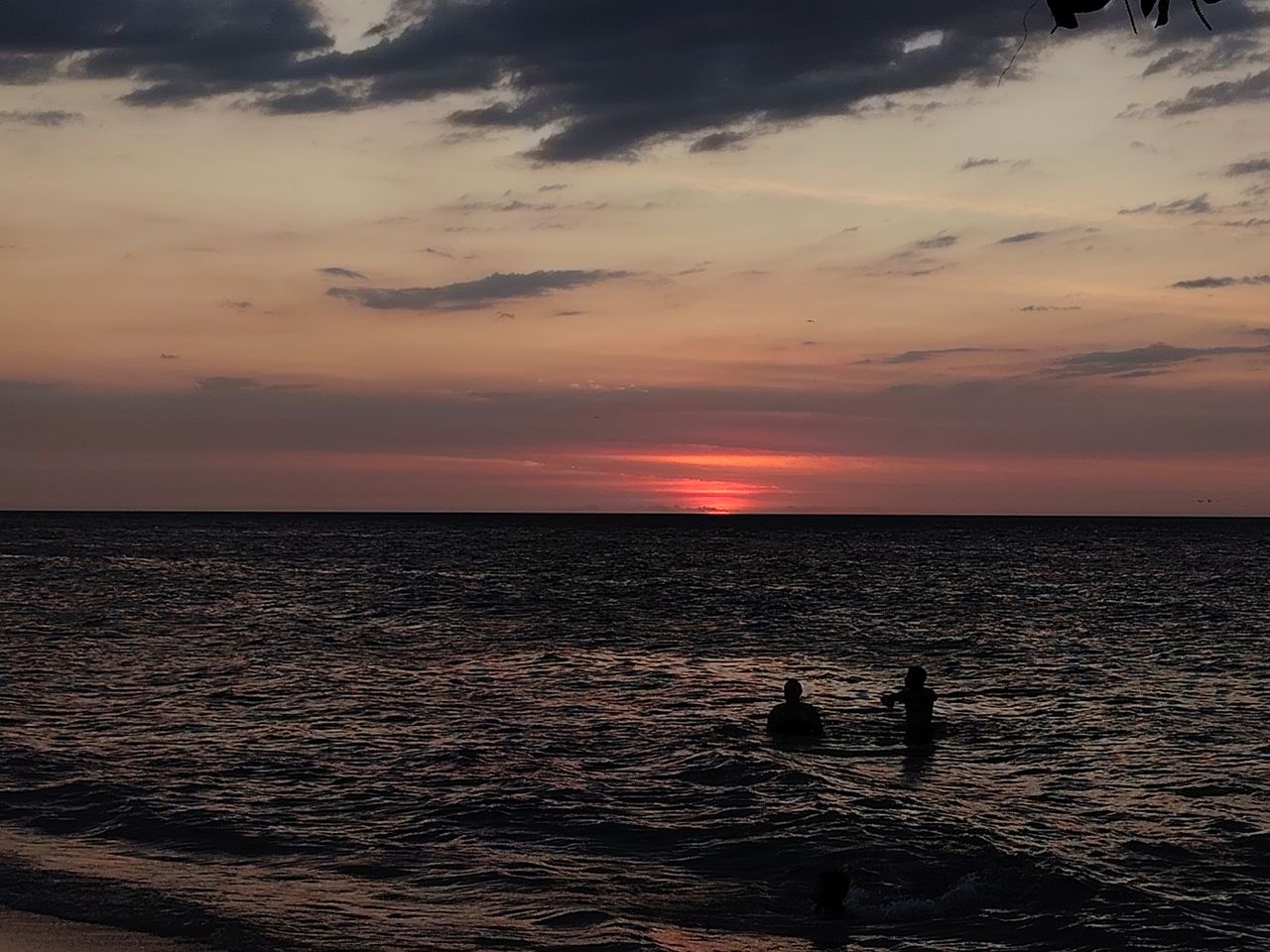 IMG_20260403_182652.jpg
