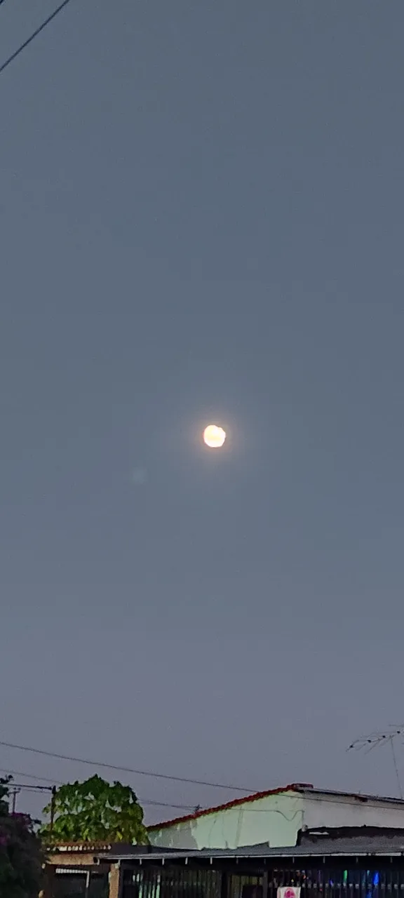 IMG_20250112_185935.jpg