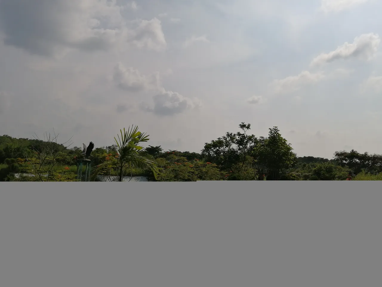 IMG_20190606_151745.jpg