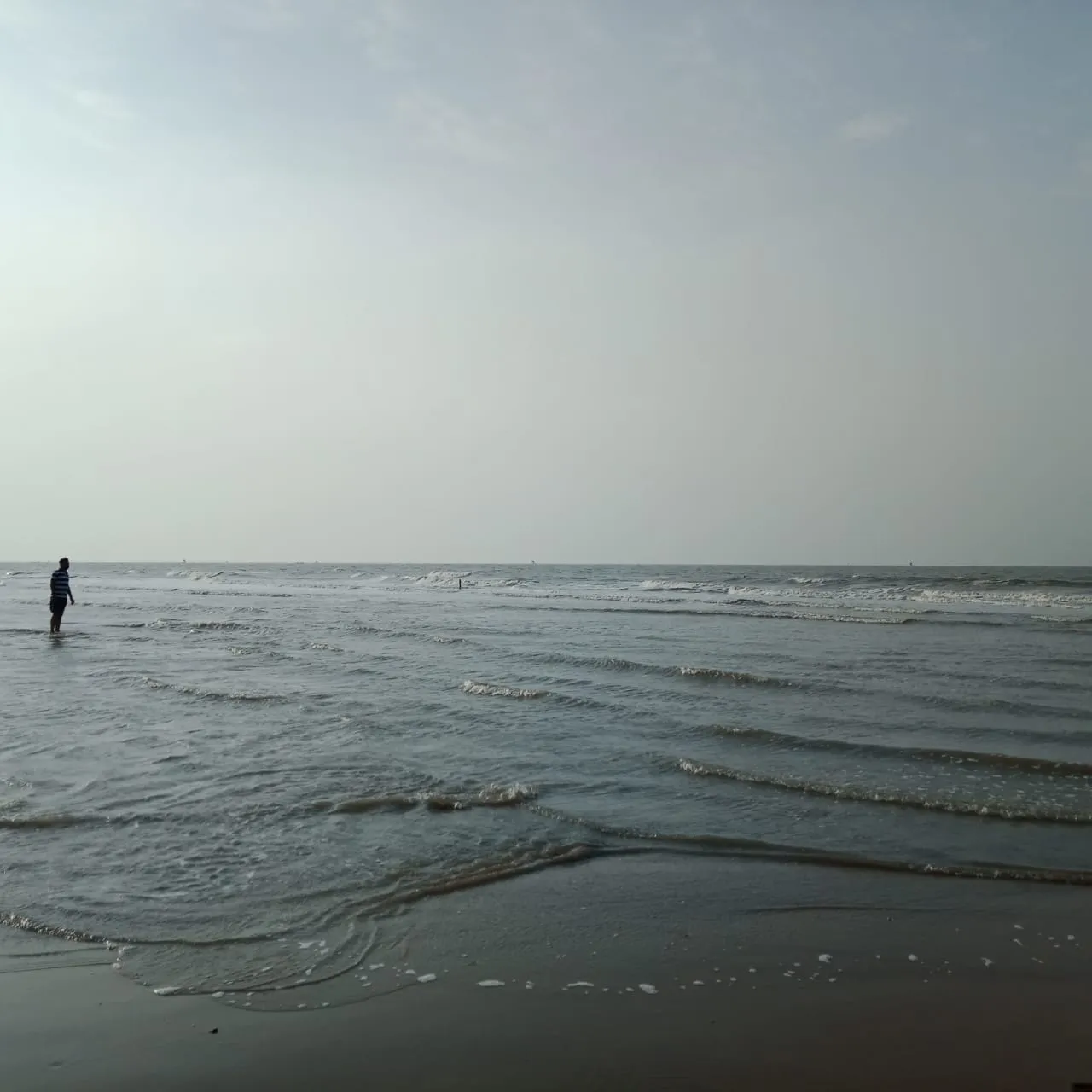 IMG-20210303-WA0179.jpg