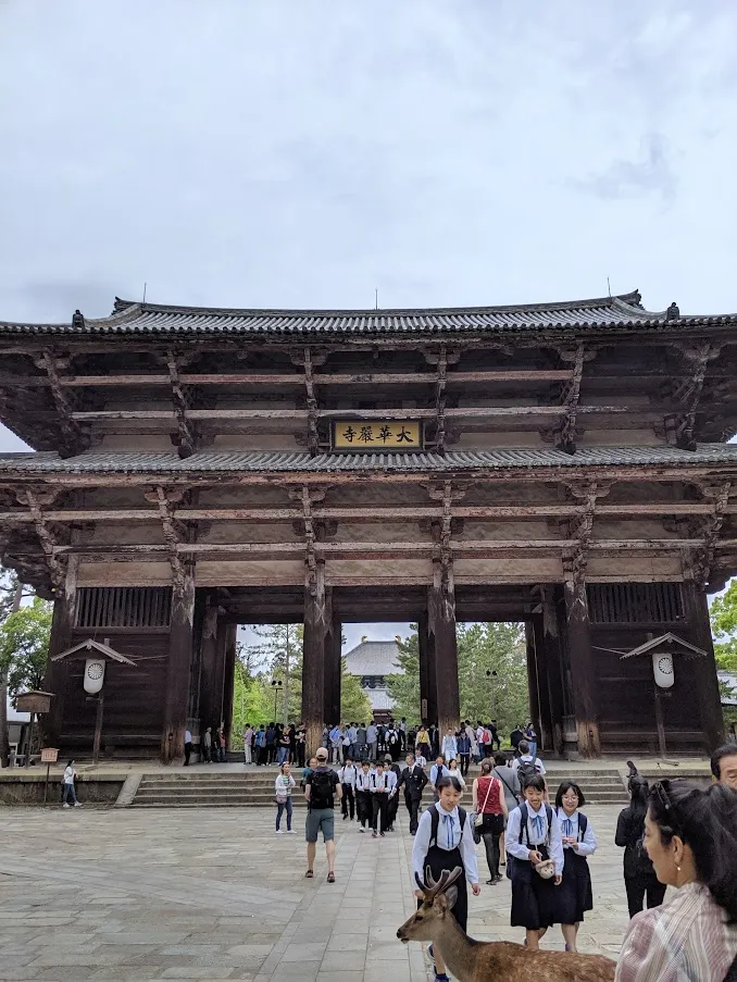 IMG_20190518_114640.jpg