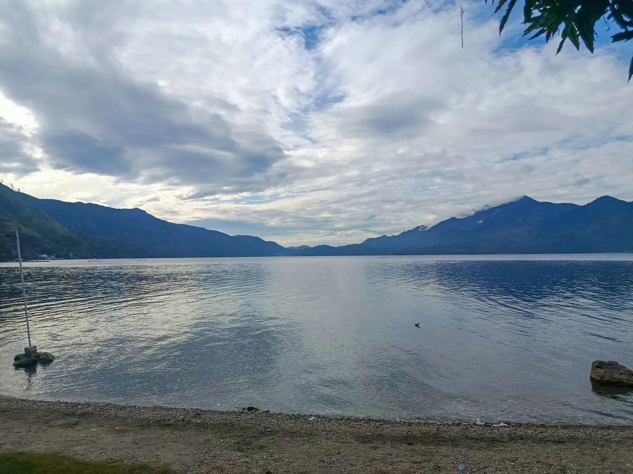 IMG_20250611_080500.jpg