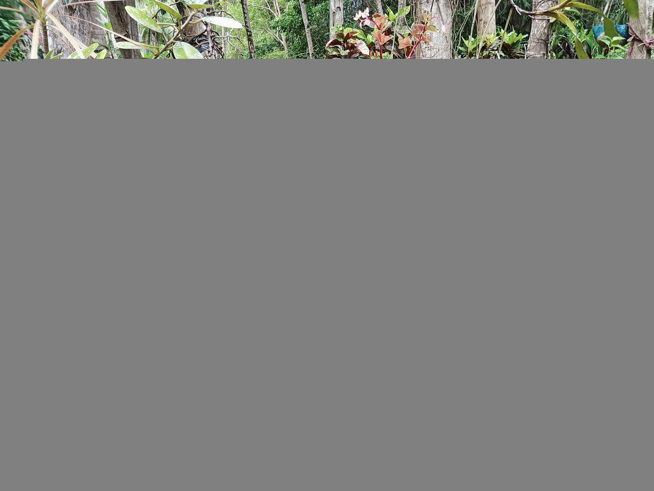 IMG_20260524_151438.jpg
