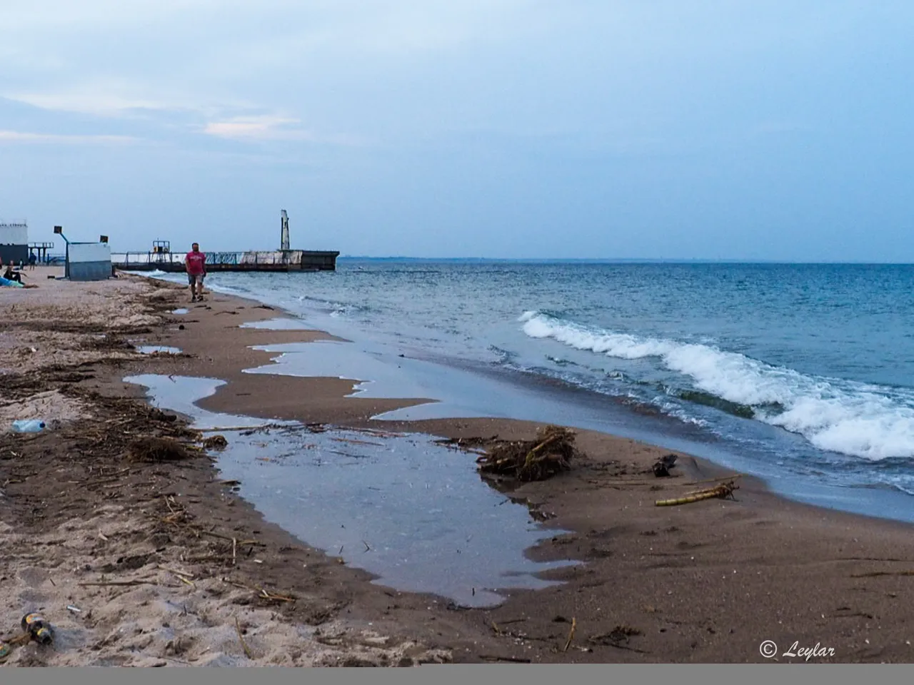 20131231-P1010040-3.jpg