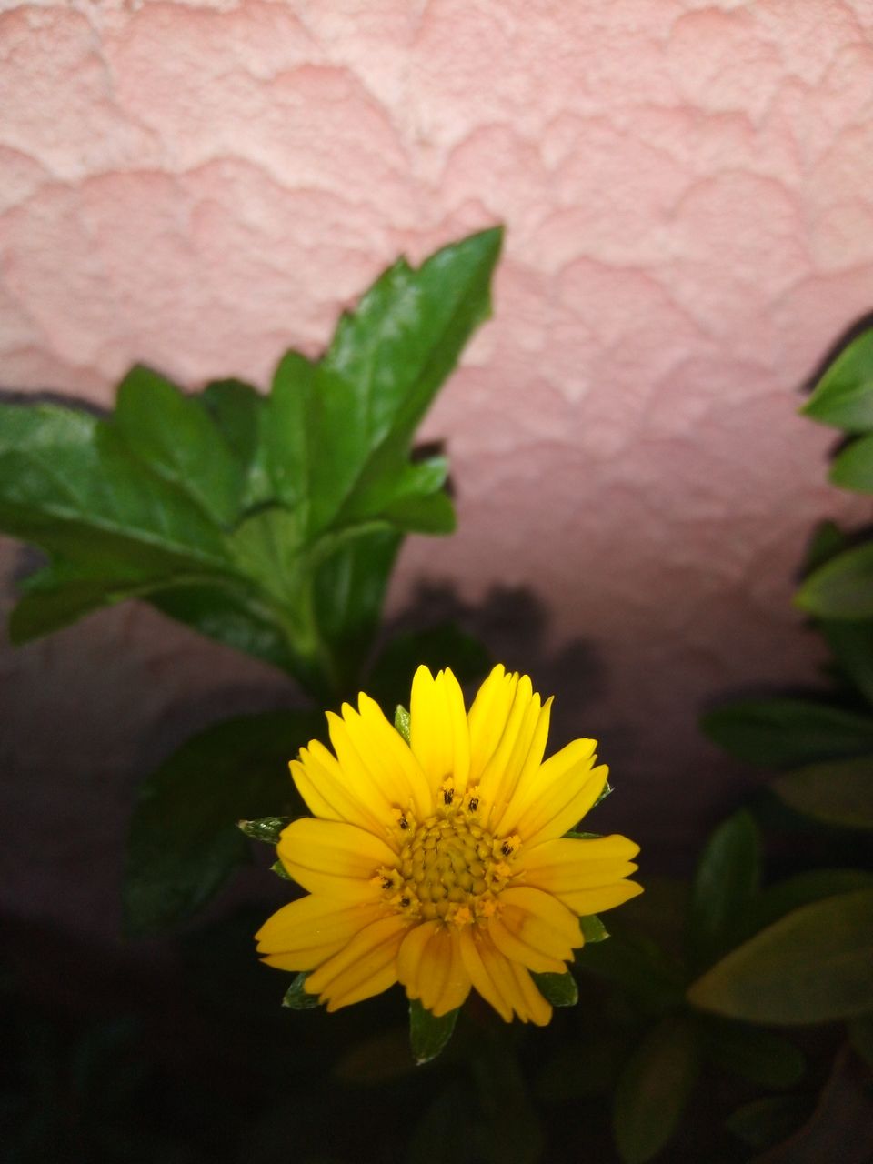 IMG_20201024_174647.jpg