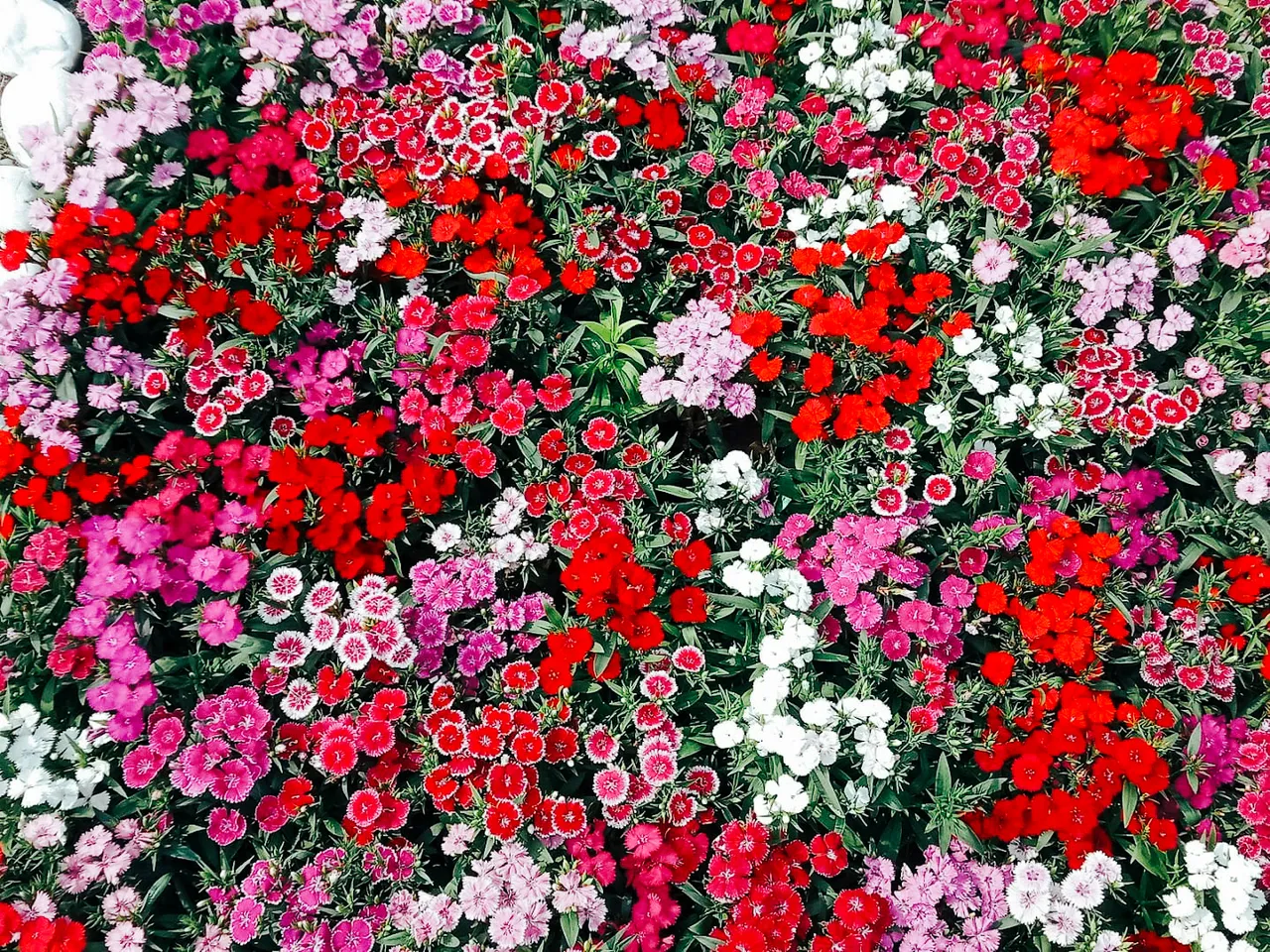 IMG-20250421-WA0015.jpg