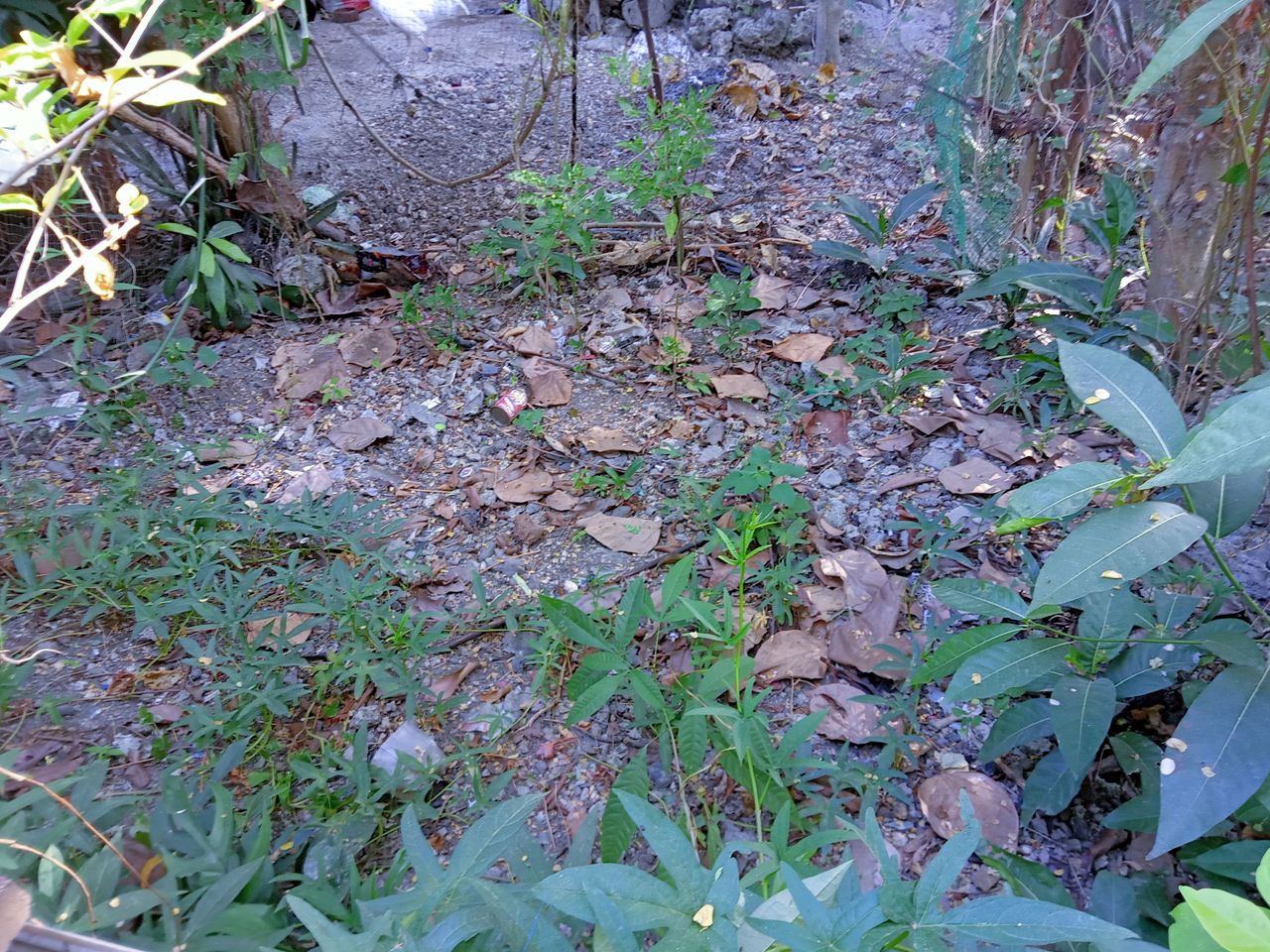 IMG_20260407_080411.jpg