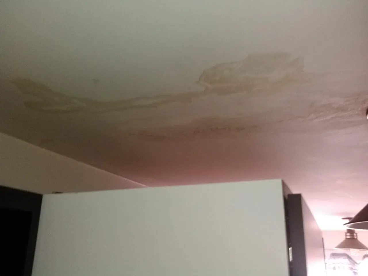 IMG_20201026_115928.jpg