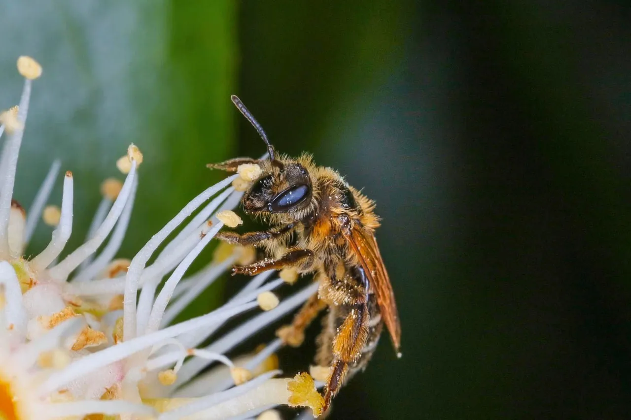 insect content (17).jpg