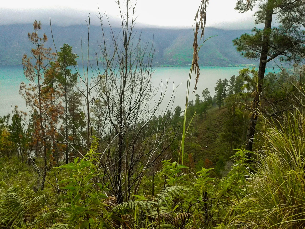 2015-08-15 17.07.20.jpg