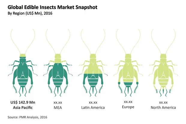 Eating insects around the world