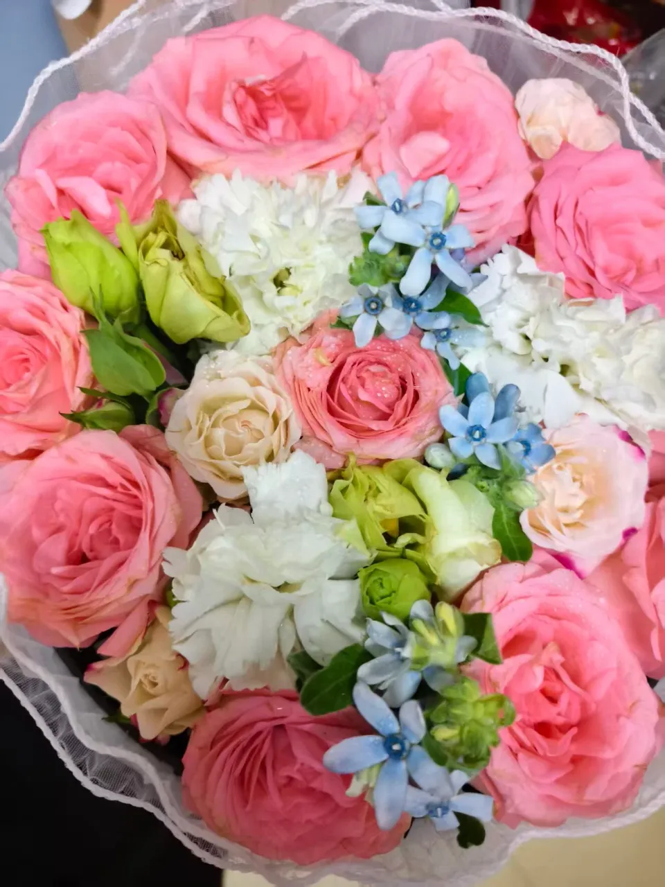 oZWJ6f27x3mjnWJ8_1000027751.webp