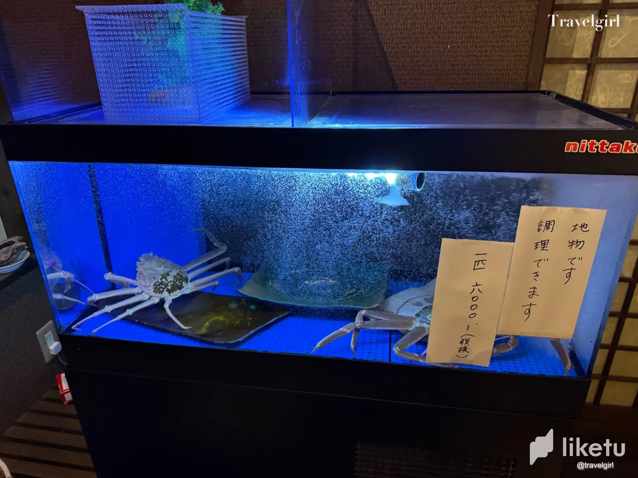 Gi10bSjq88mwV7Cb_IMG_2285_2.webp