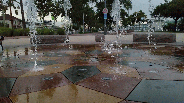 20181210_161342-ANIMATION.gif
