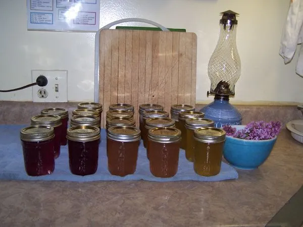 Jellies - done1 crop May 2018.jpg