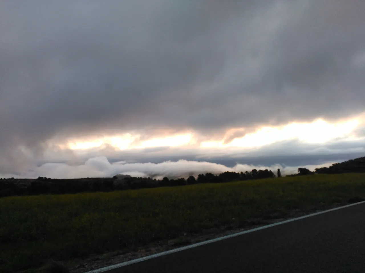 niebla.jpg