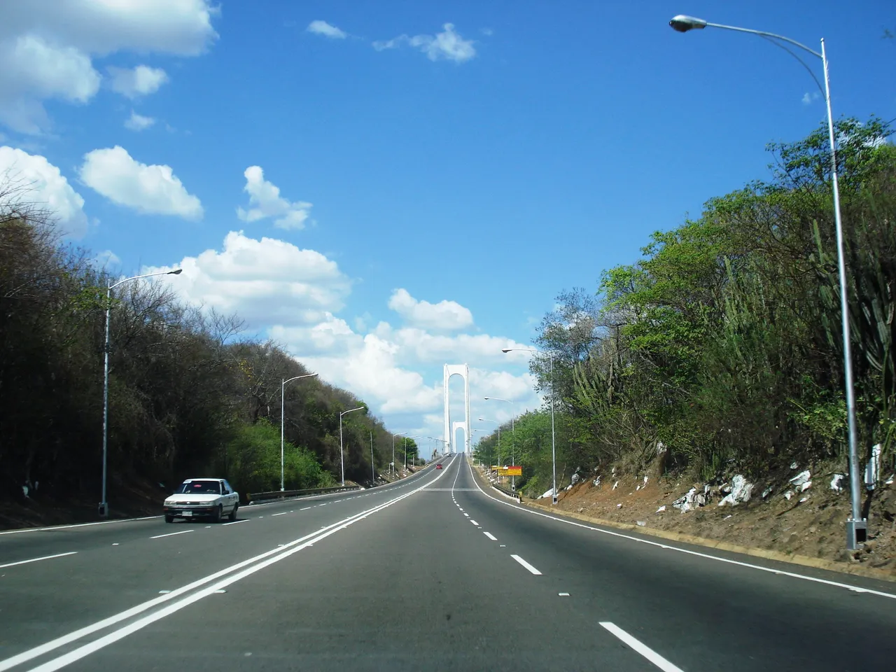 274.JPG